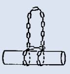 Ozzimarine Ozzimarine